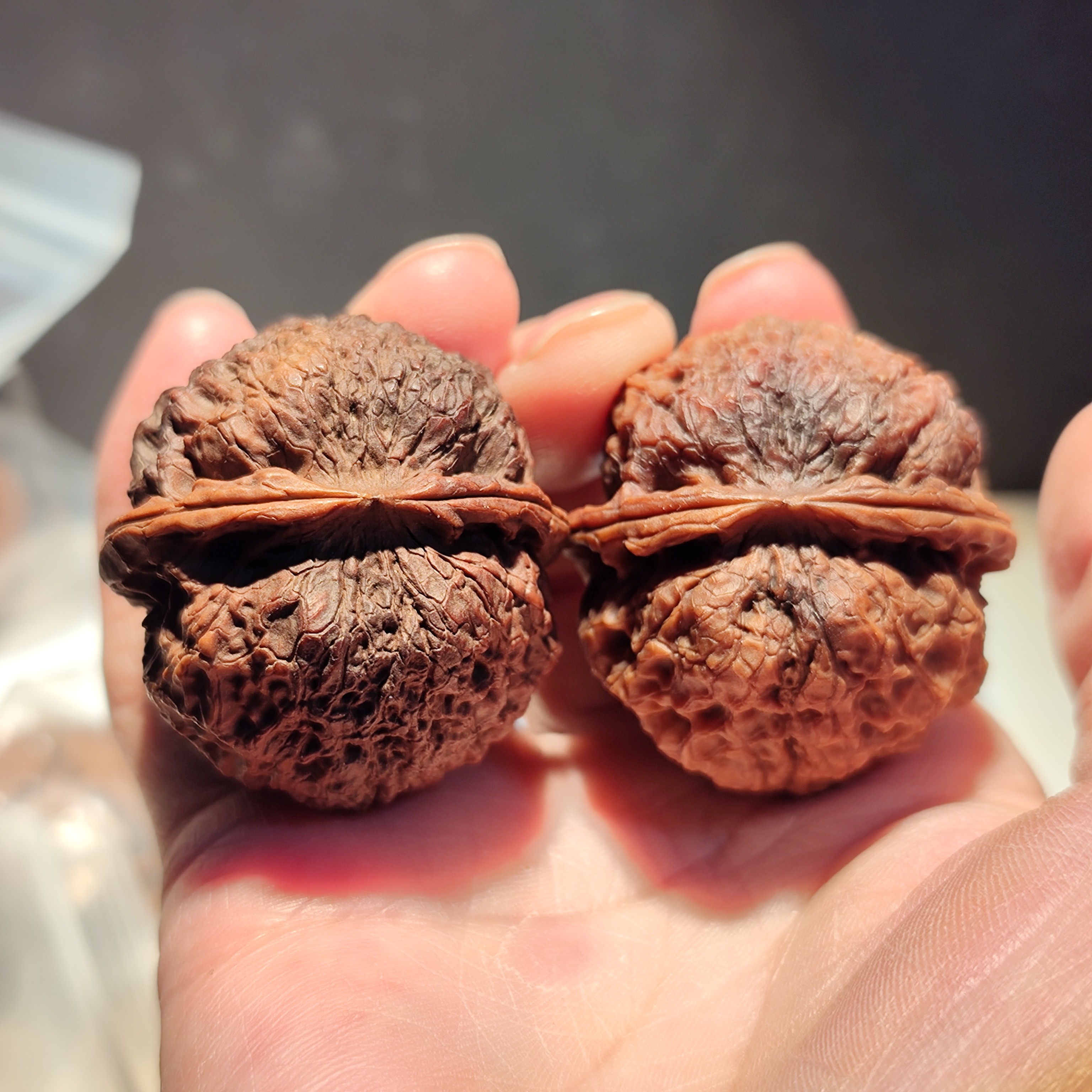 155号43云南铁核桃花和尚彩阴39大宽边