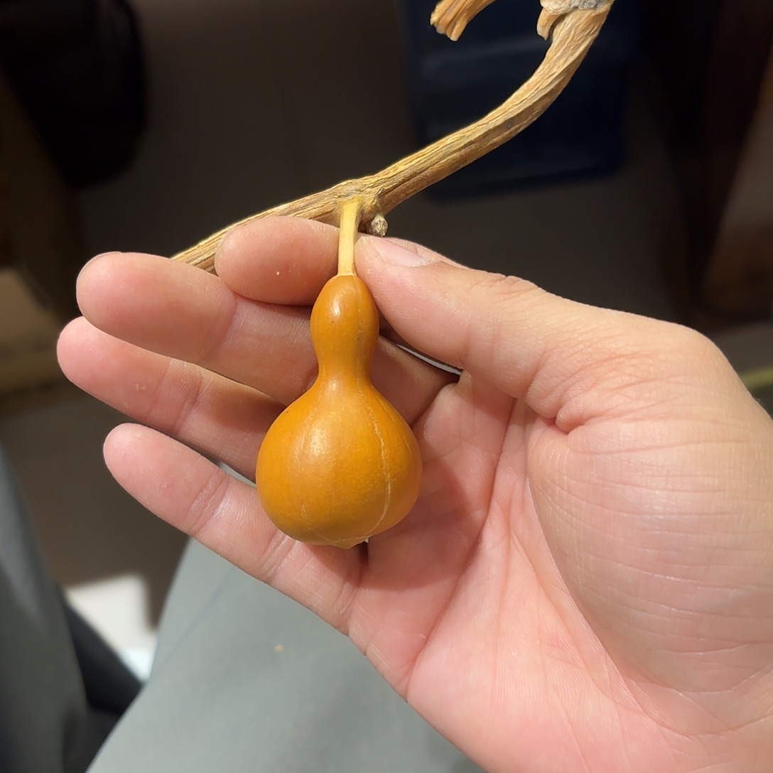 世*葫芦111111111111111