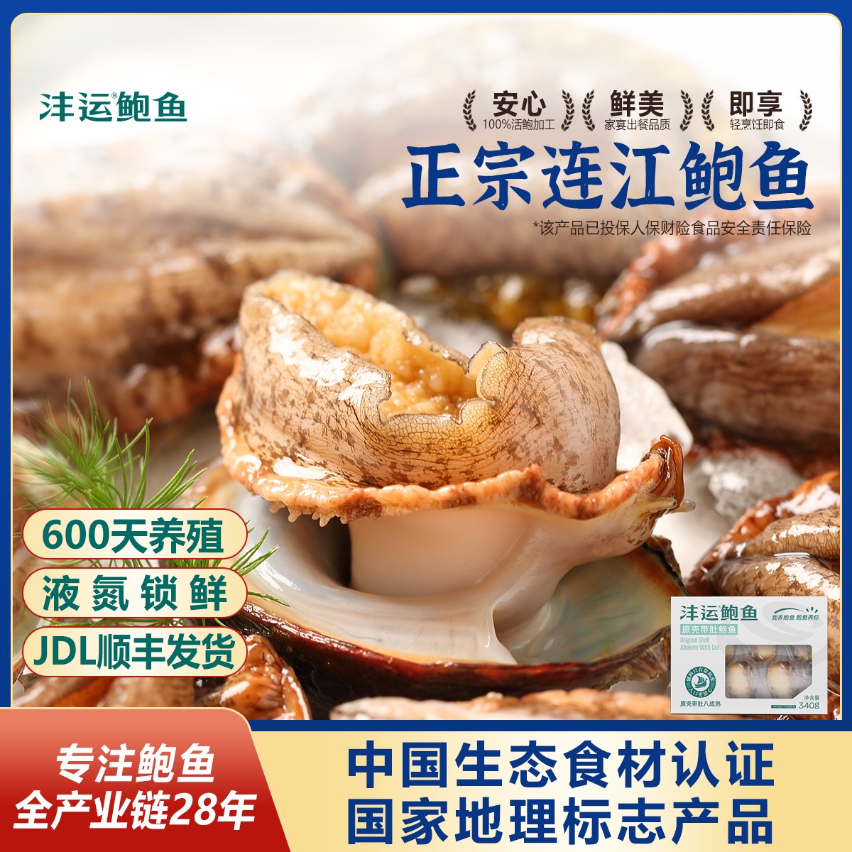 沣运正宗福建连江鲍鱼海捕新鲜原壳冷冻鲍鱼加热即食经典热卖商用