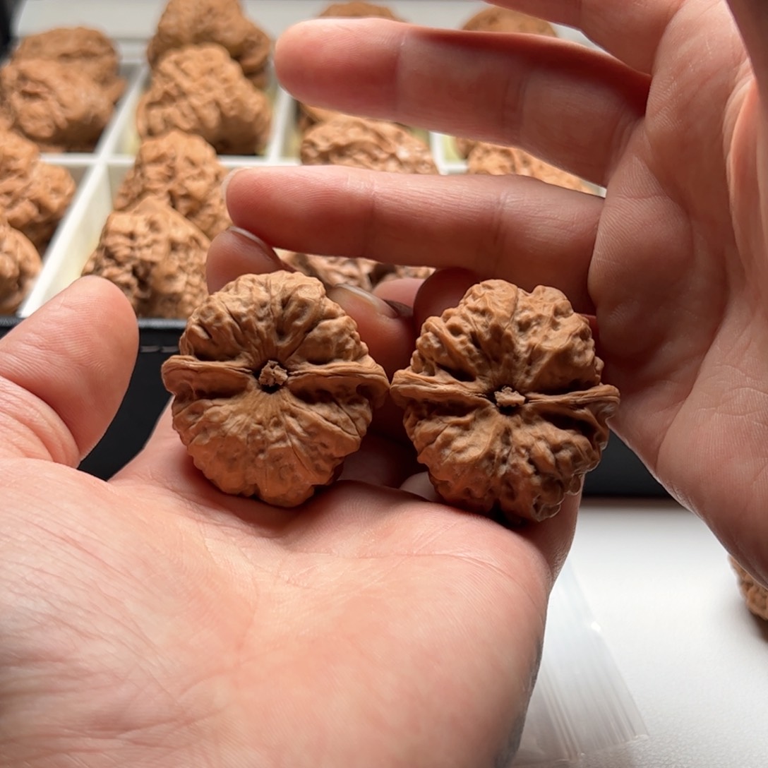 核桃把件延庆蛤蟆头