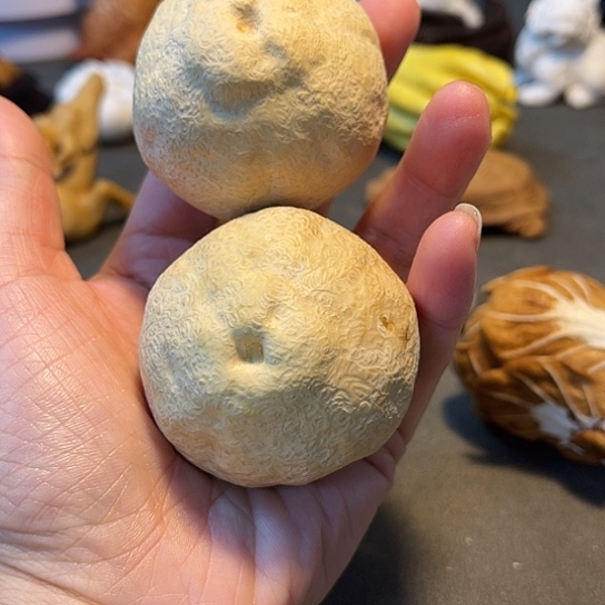 文***十把件鹿骨小叶黄杨木橘子