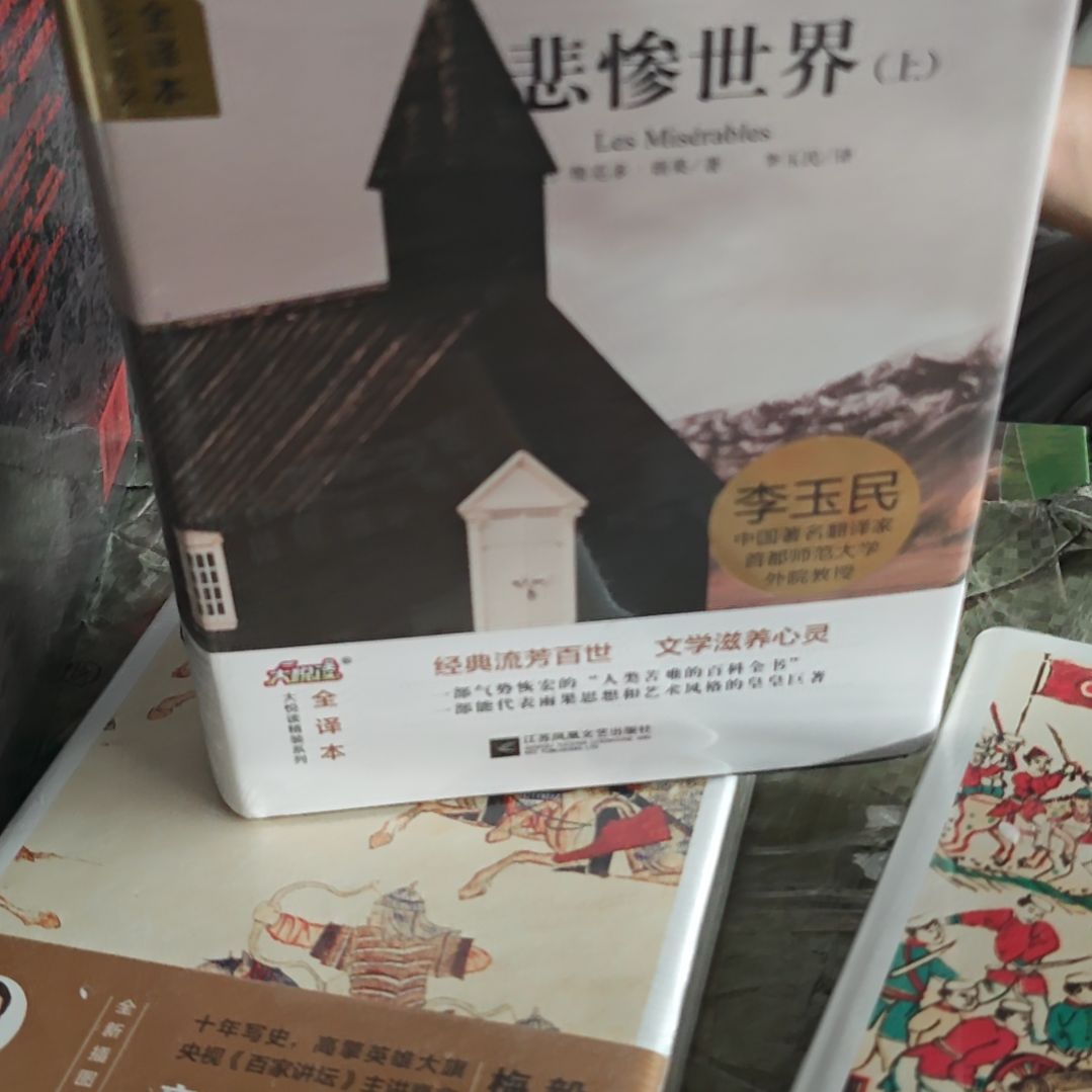 悲惨世界两本一套瑕疵介意勿拍介意勿拍