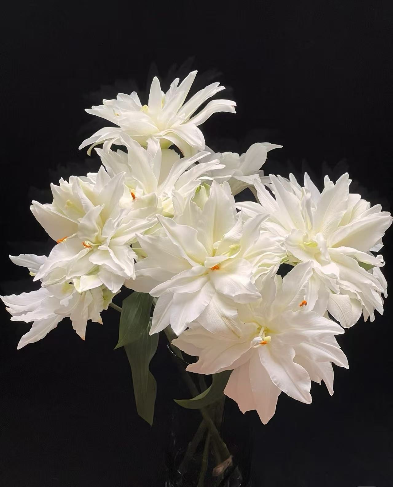 【重瓣滑雪板】0度以下一定要拍保温，否则冻坏不售后