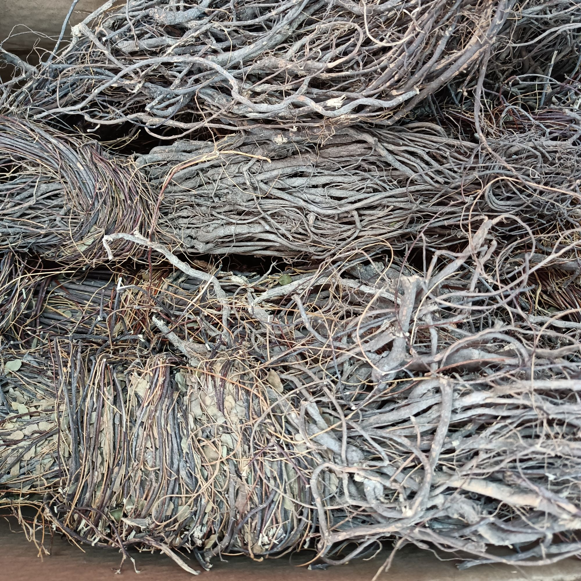 精选鸡骨草头煲汤煮水250g