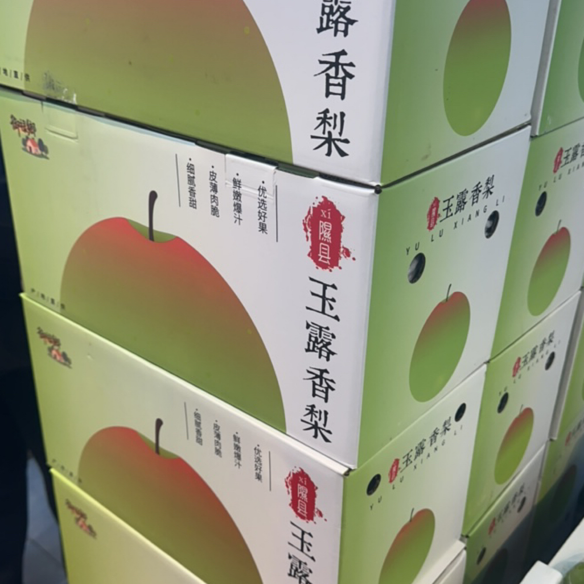 隰县玉露香梨整箱 5 斤