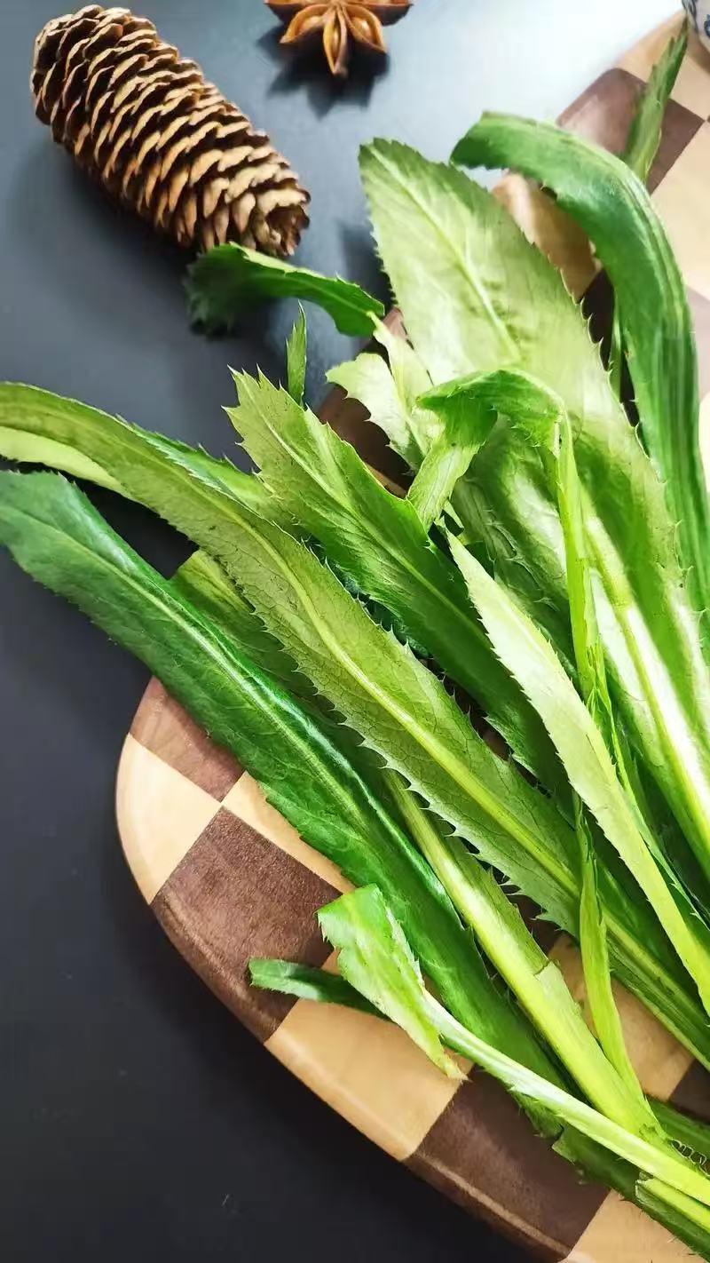 云南德宏芒市大香菜