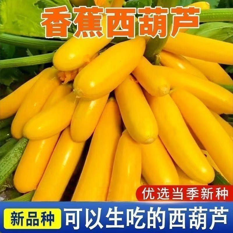 【全店凑6包包邮】【177】香蕉樱桃萝卜西葫芦种子蔬菜蔬菜种子新鲜