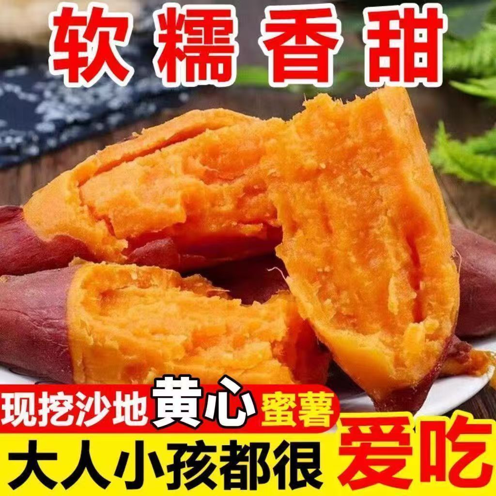香甜糯新鲜现挖板栗薯密薯番薯黄心粉面新鲜板栗红薯