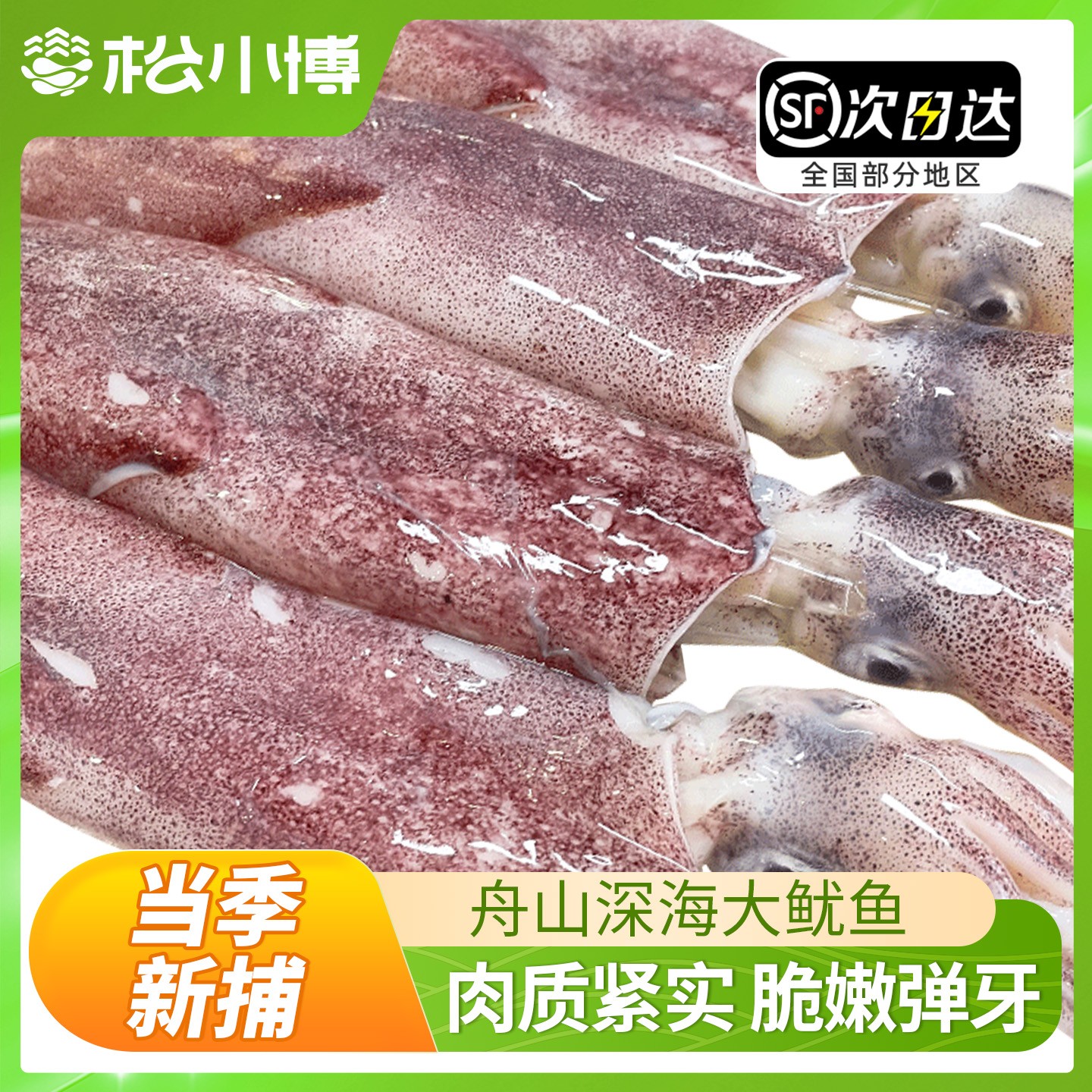 舟山大鱿鱼正宗火箭鱿鱼海捕生鲜铁板烧烤海鲜整只深海鱿鱼串