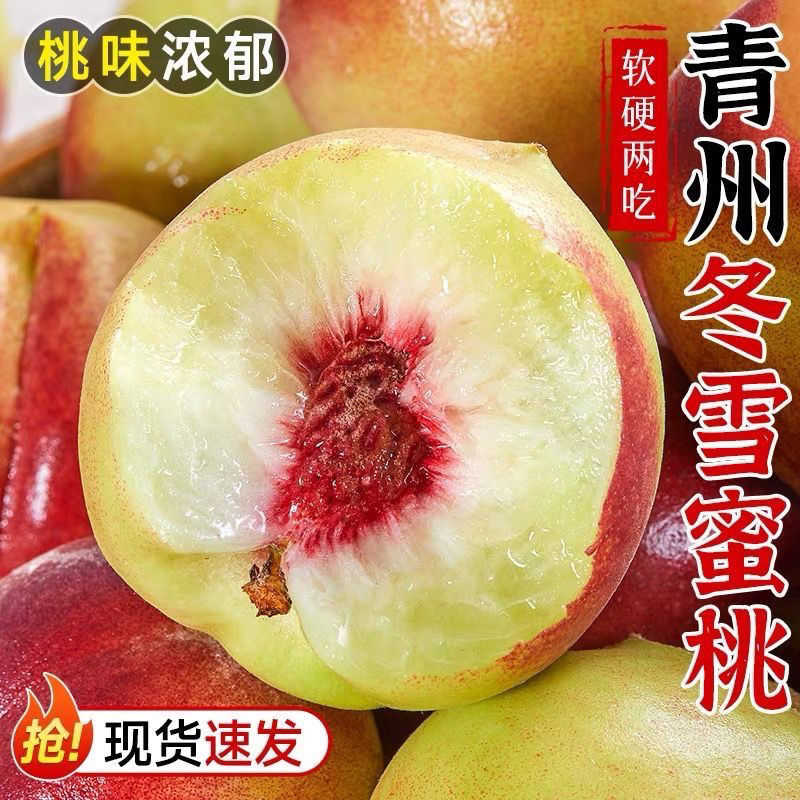 【现摘】青州蜜桃新鲜现摘脆甜多汁肉厚离核应季水果