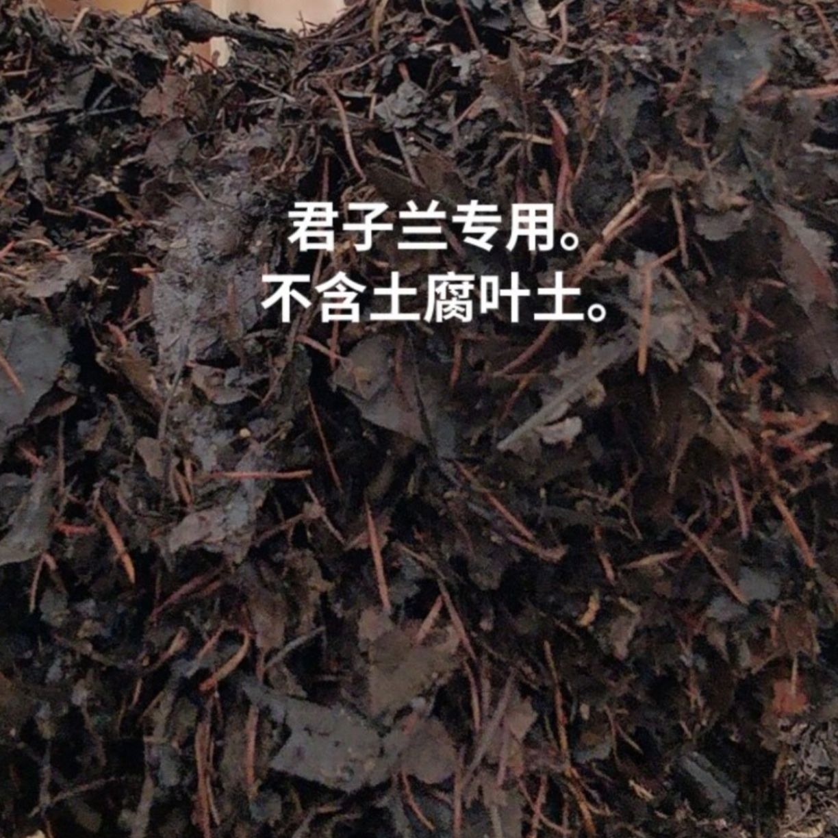 君子兰专用腐叶橡树叶、珍珠岩、松针、木炭营养土。