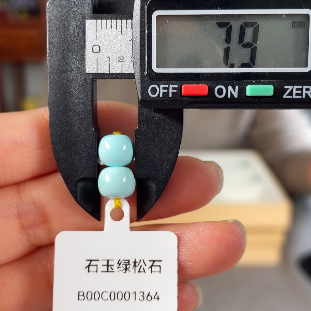 绿松石颈饰未镶嵌