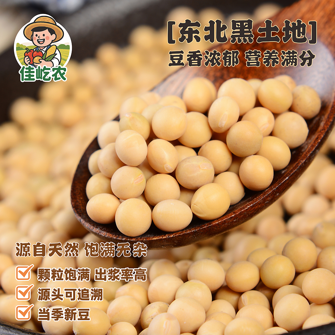 【非转基因】东北黄豆匠心筛选颗粒圆润可打豆浆做豆腐发豆芽