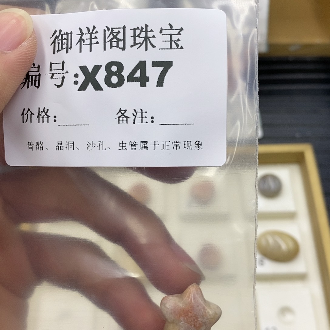 硅化珊瑚（珊瑚玉）未镶嵌颈饰玲*。