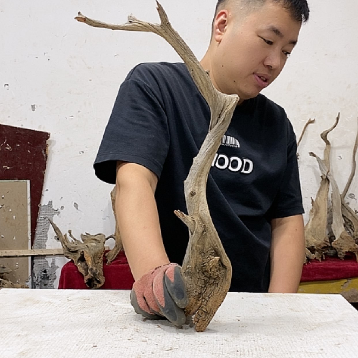 【闪购商品】柏木一***秋我们都是好孩子