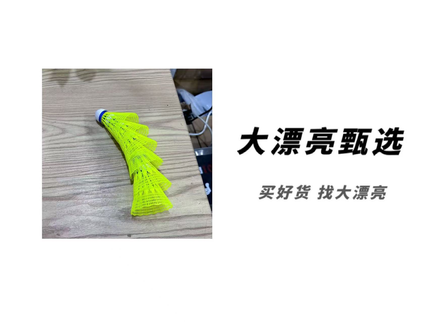 桶装训练式羽毛球 6只装