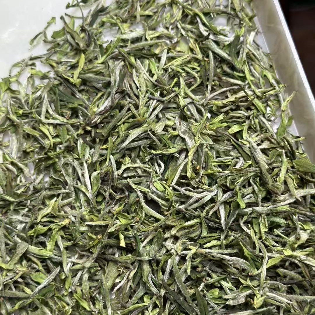 2025福鼎太姥山贡眉王