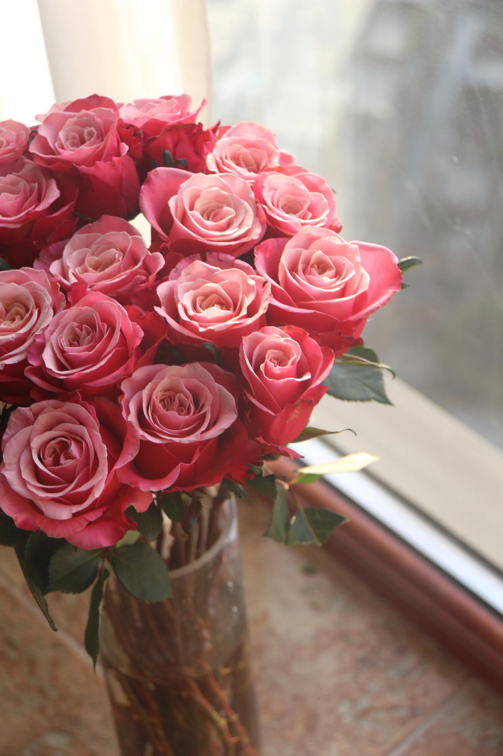 【闺蜜】精品稀有玫瑰家用水养鲜花花束云南基地直发