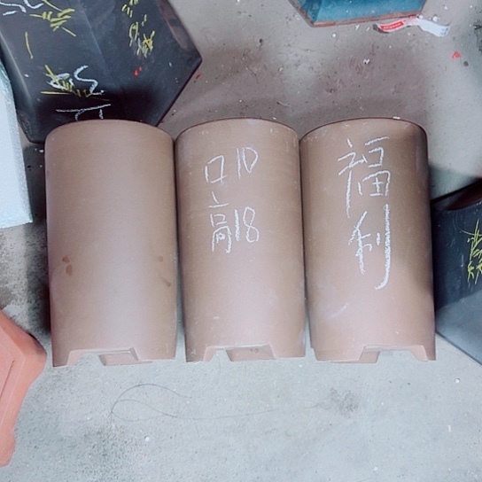 红陶紫砂紫砂紫砂下