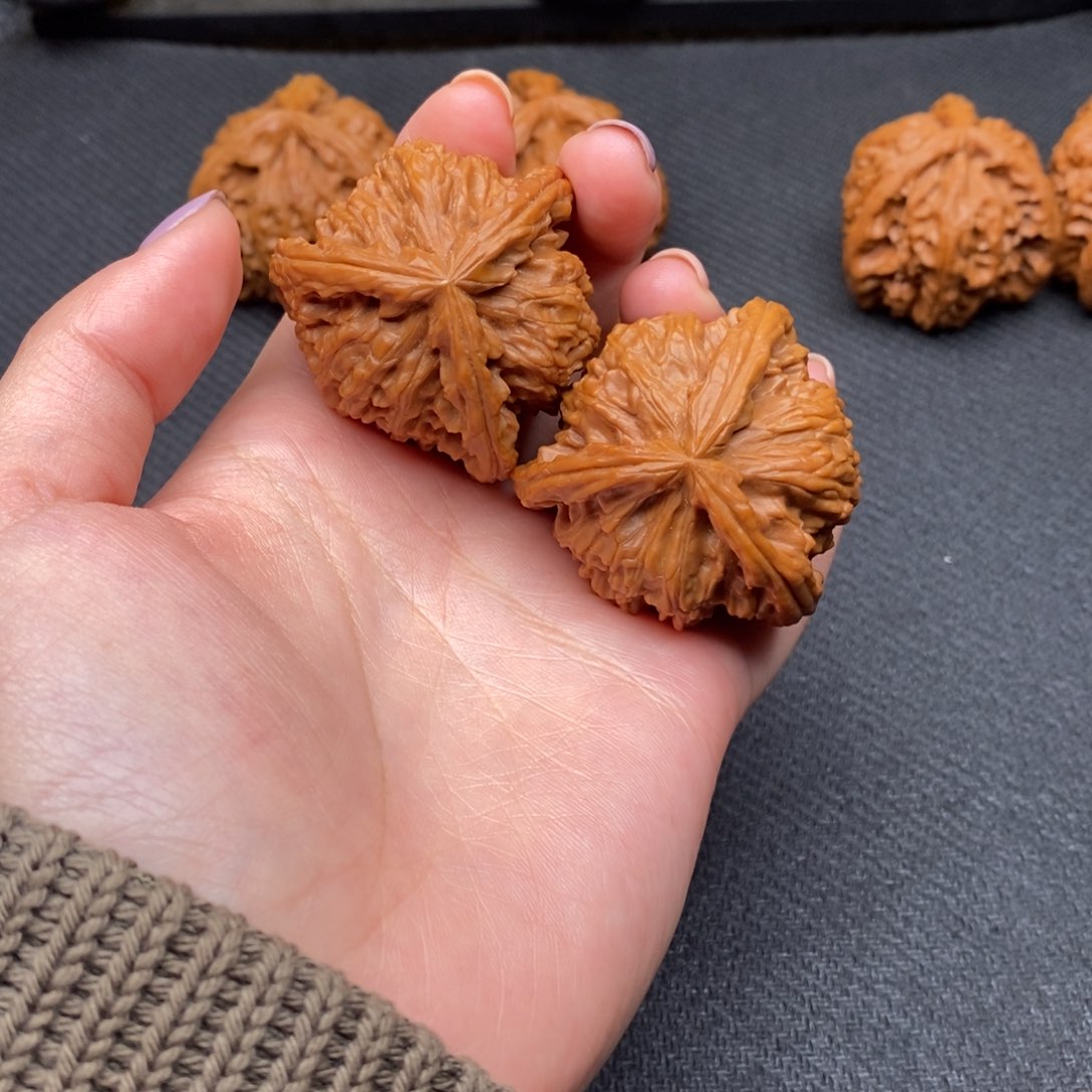 月**回白狮子1111111111