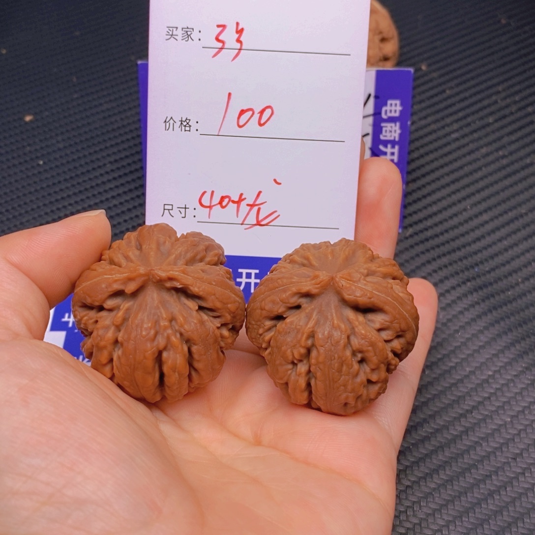 文玩核桃霸王龙核桃