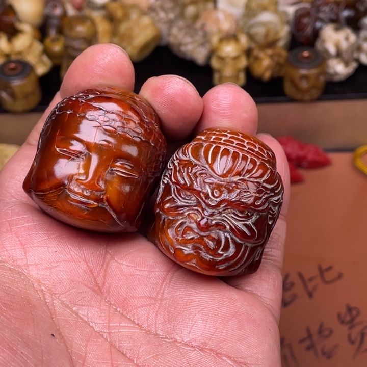 驼骨其他人工养殖