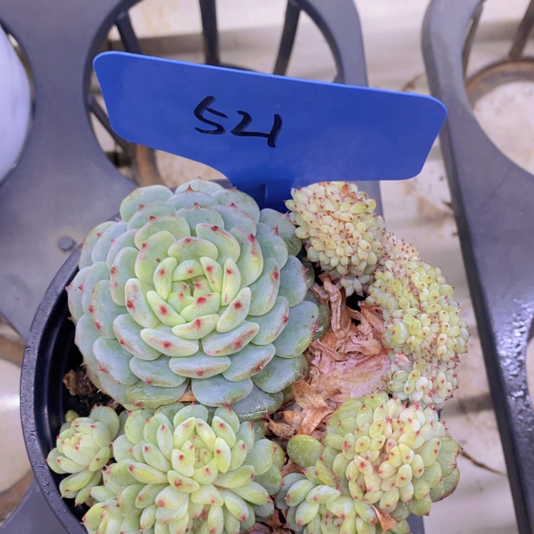 清货转场，一单包邮，满5宋1