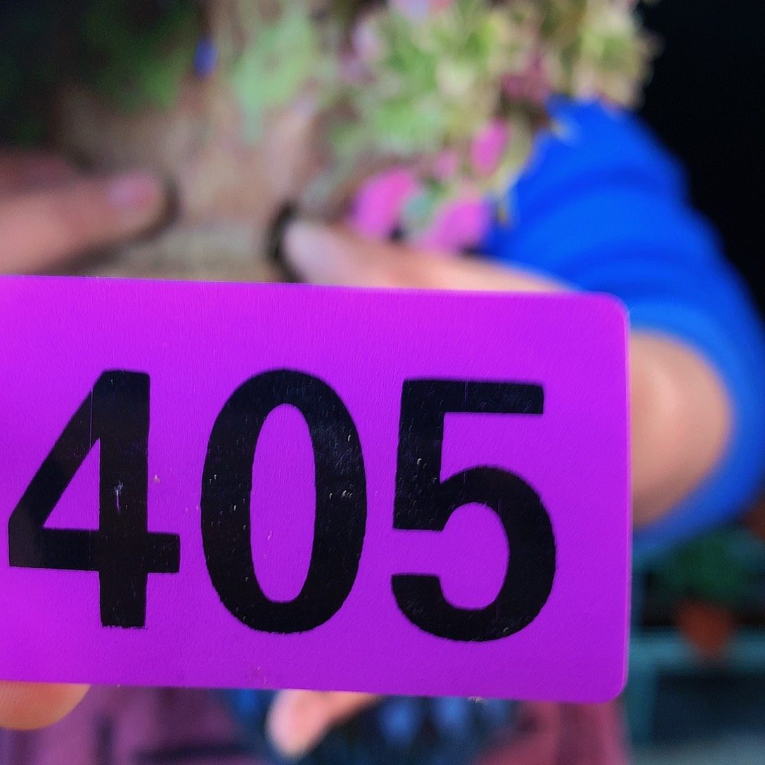 ssssssssssssssssssssssss405