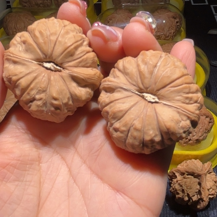 南瓜42南瓜42南瓜42南瓜