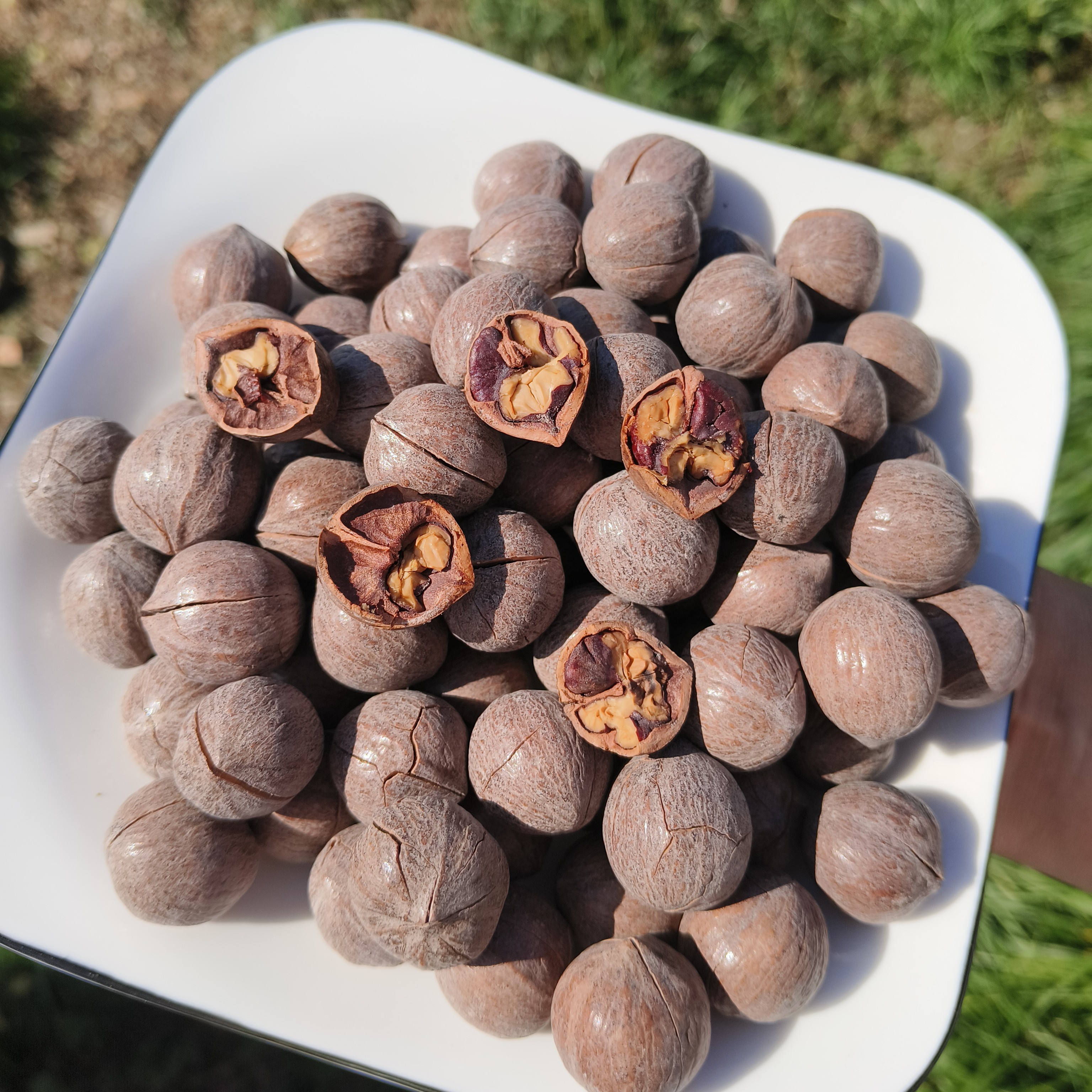 临安非手剥山核桃25年新货临安山核桃原子新货圆籽山核桃古法炒制