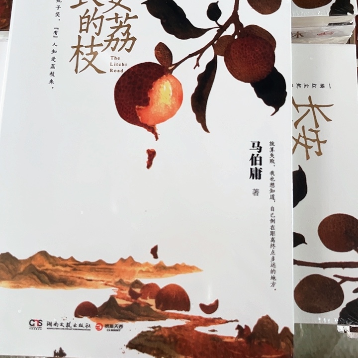 长安的荔枝新书推荐
