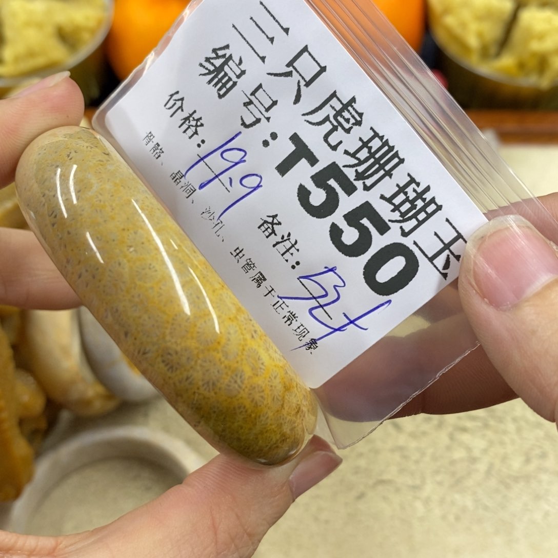 硅化珊瑚（珊瑚玉）1未镶嵌?*婷