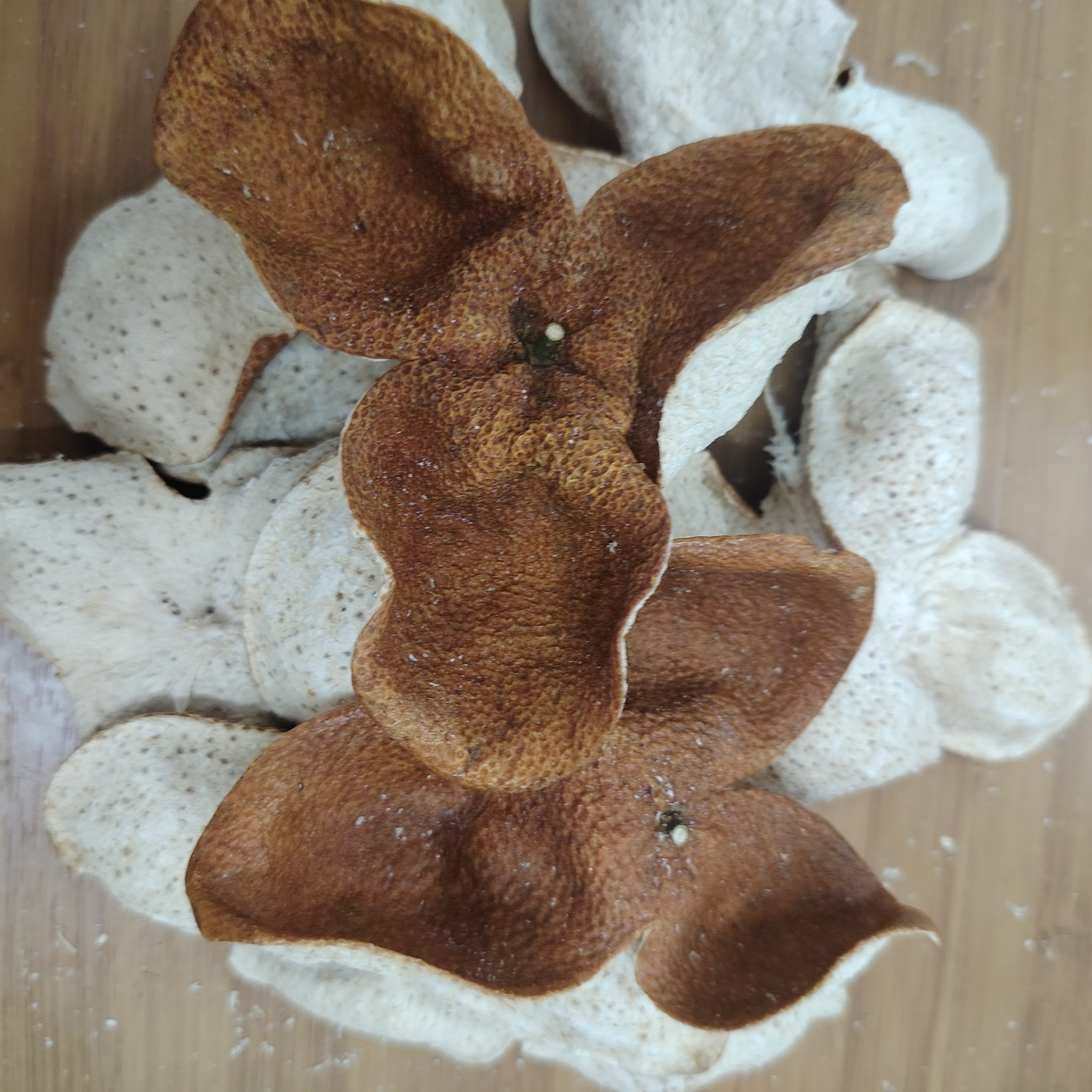 龙门陈皮2024年冬后大红自然晒干