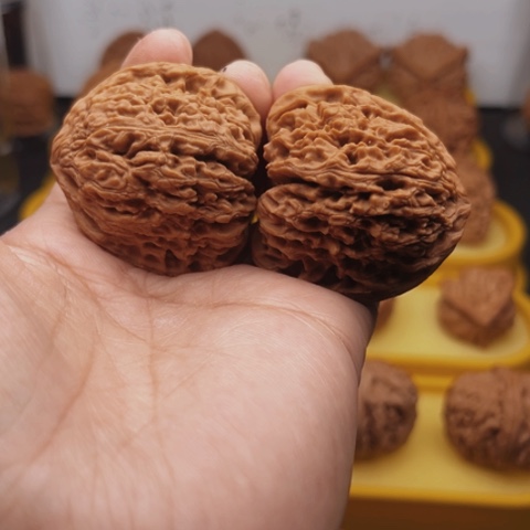 把件文玩核桃鲍*义