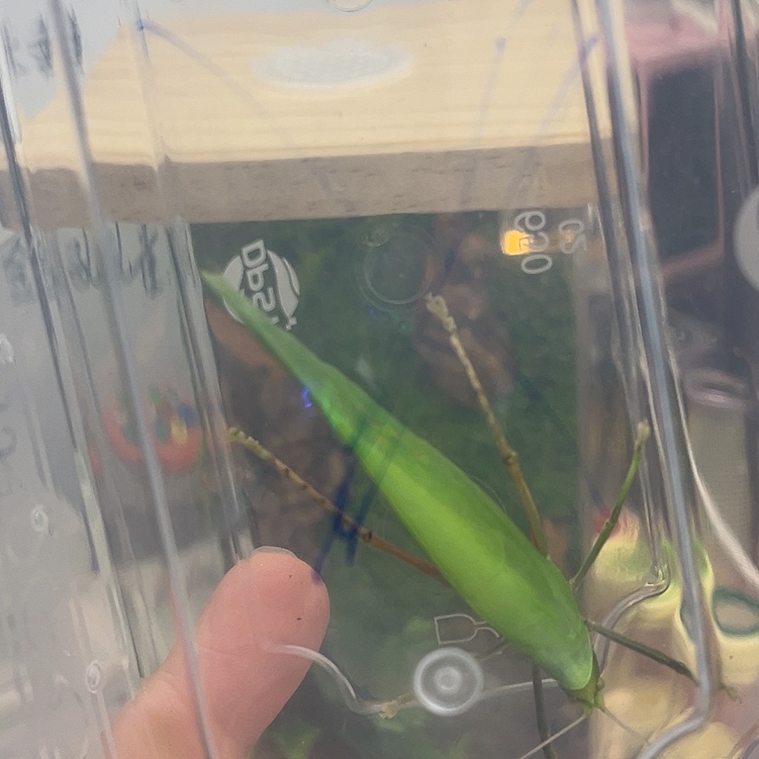 I***）拍拍拍拍啊拍拍拍拍