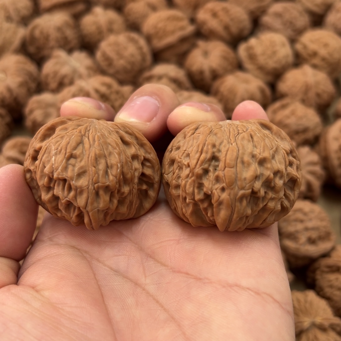 44尺全品磨盘狮子头