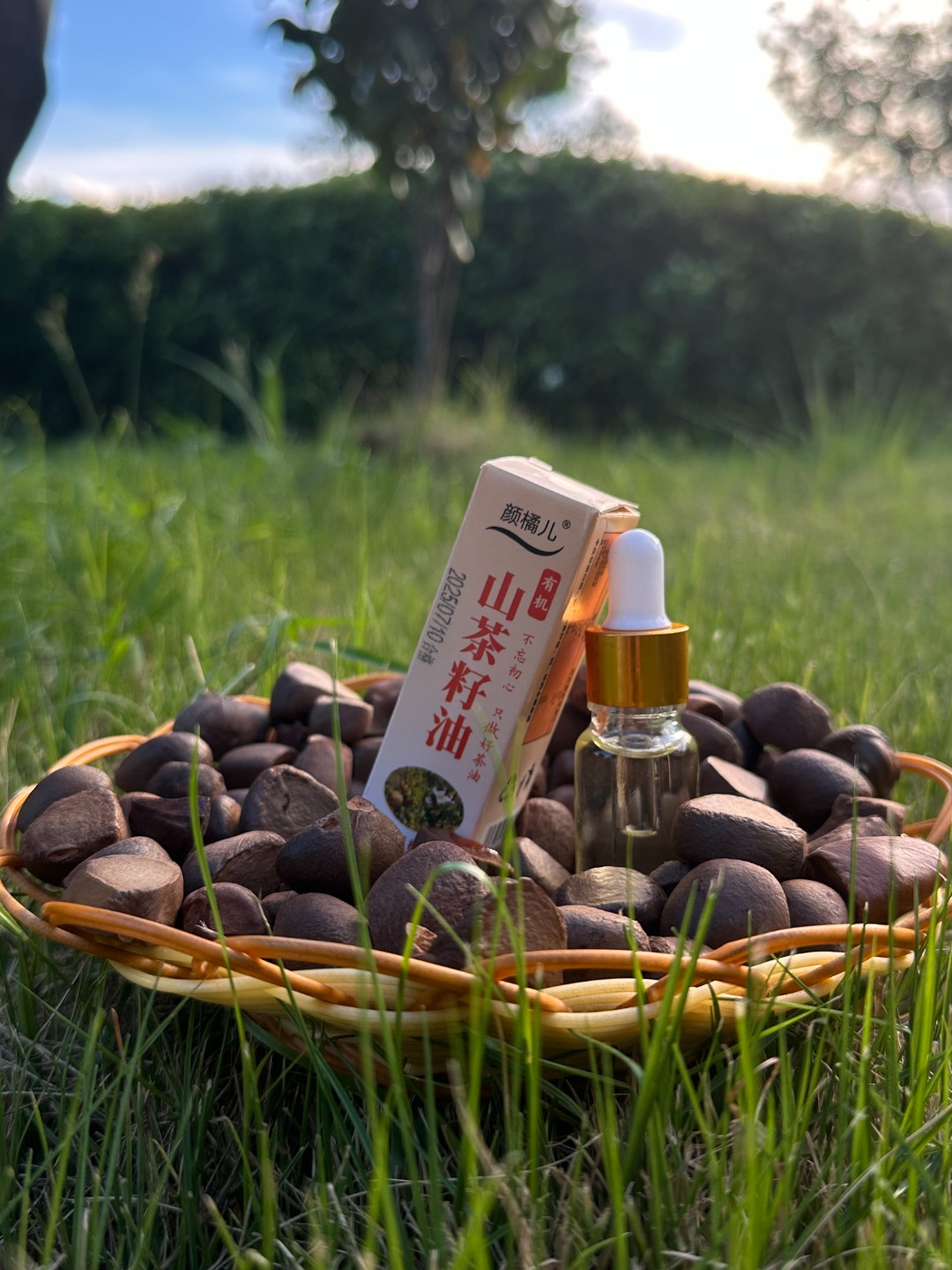 (颜橘儿)高山野生老树小籽山茶油低温冷榨有机山茶油10ml体验装
