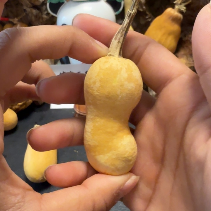 普***r66…………………………………………