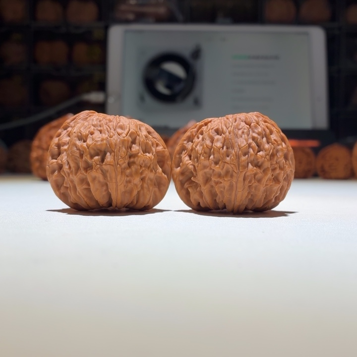 文玩核桃把件磨盘40