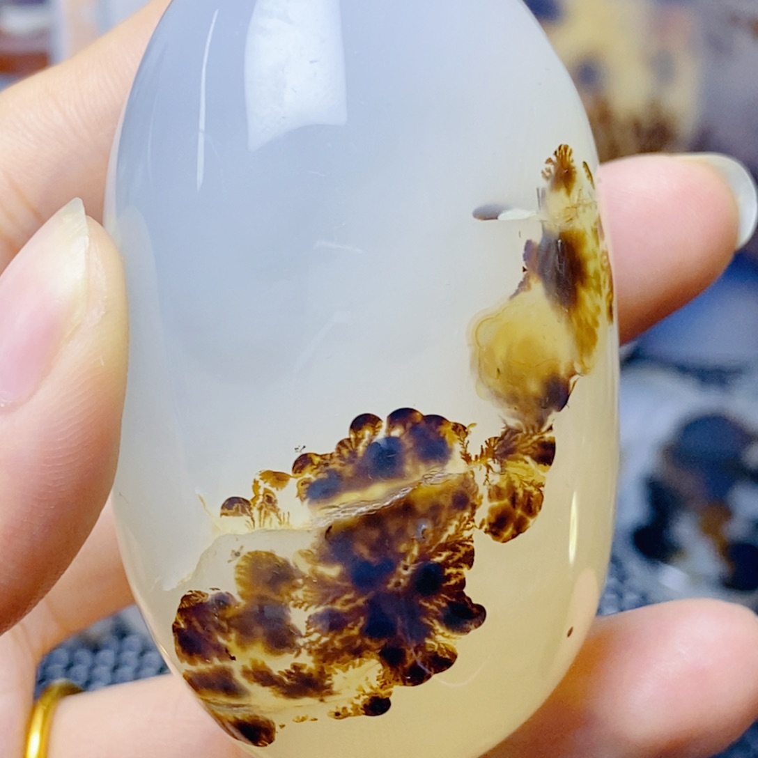 李***儿玛瑙/玉髓未镶嵌珠宝奇石