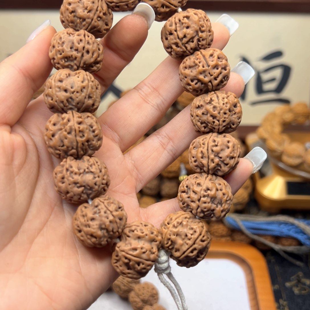 金刚菩提手串宁***?金龙梅花20