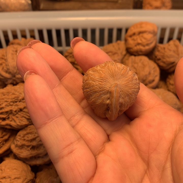 大***ⁱ文玩核桃吊坠元宝……