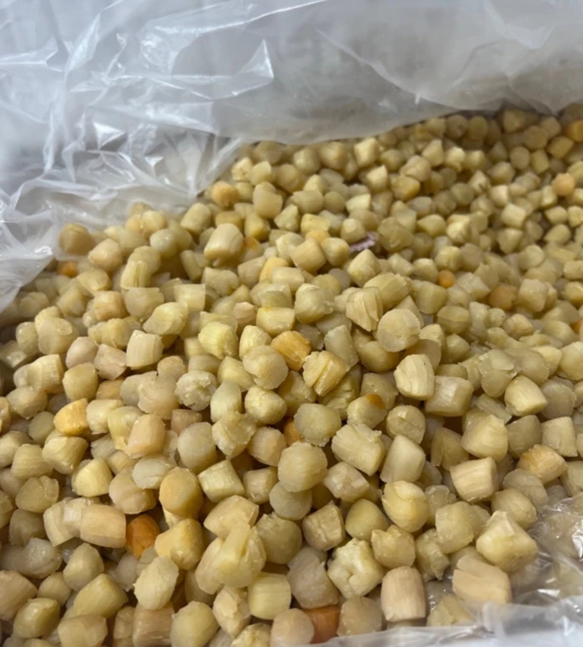 大连手工贝全淡干