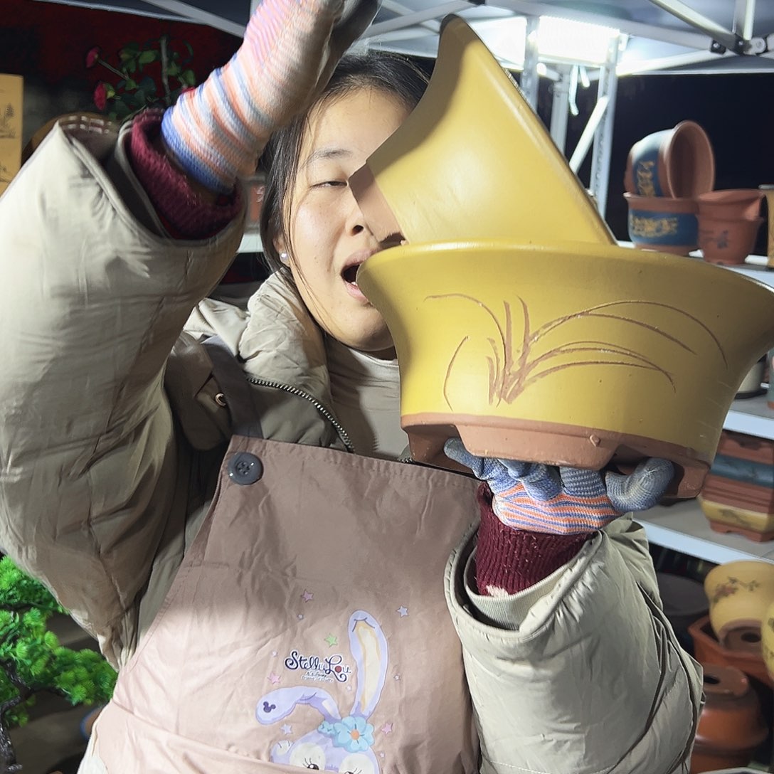 27+27黄票口花盆花盆花盆