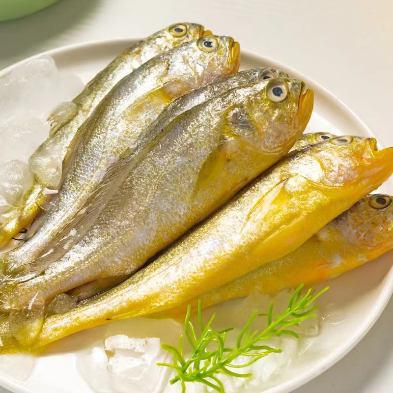 2野生海捕小黄花鱼4.5斤(1斤8-9条)鲜鱼速冻锁鲜青岛顺丰冷链发