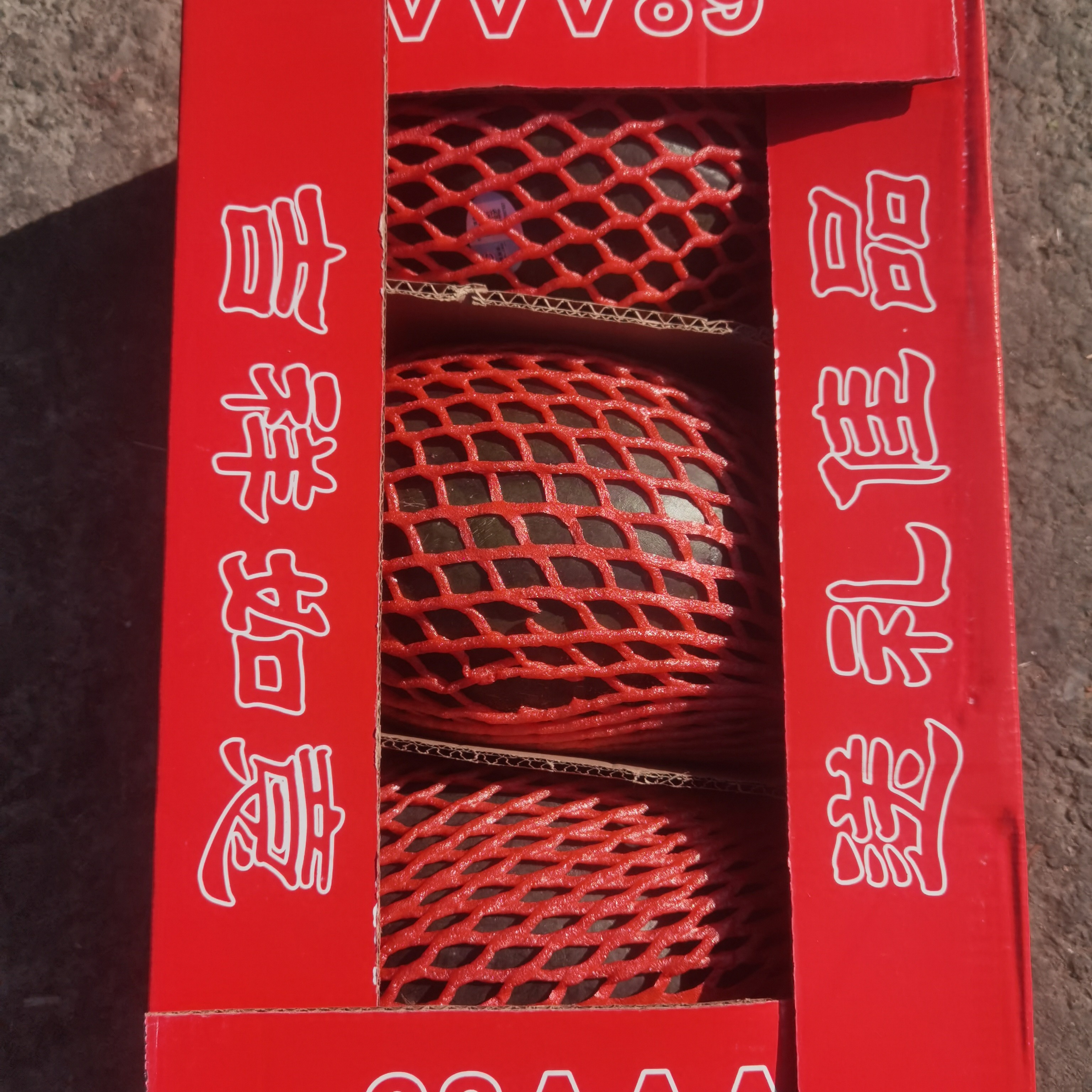 越南黑美人3例装净12斤