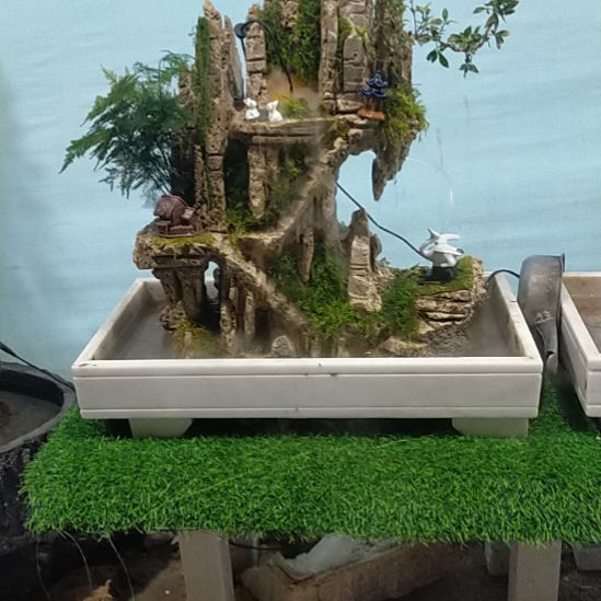 吸水石冷盆景园假山