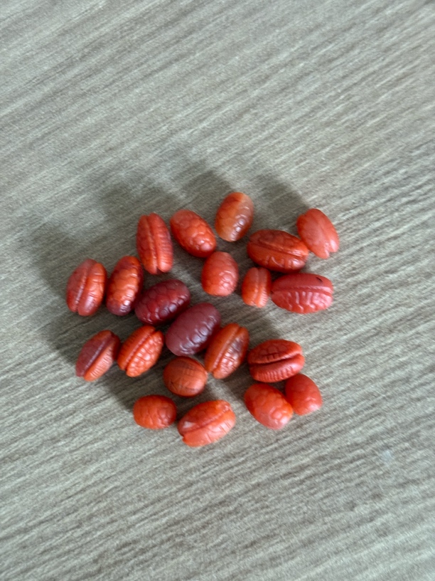 9mm左右天然南红龟背（多样发其一）