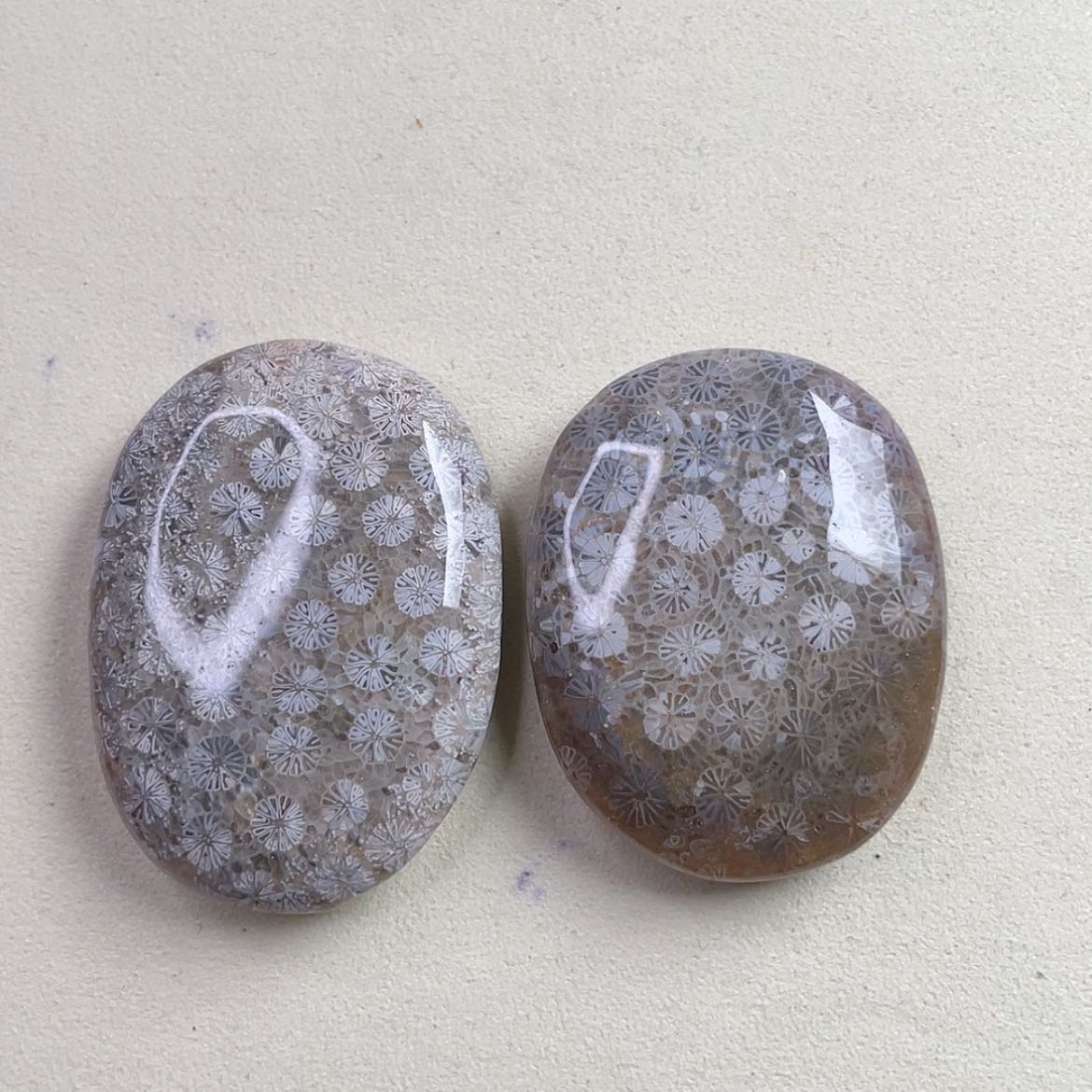 【闪购商品】未镶嵌吊坠(赠链)硅化玉