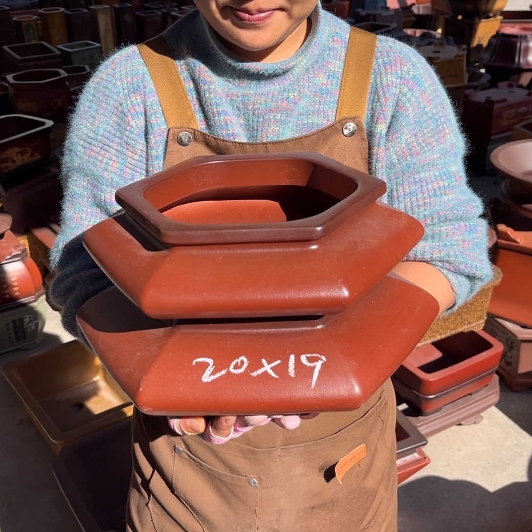 紫砂花盆盆景艺术